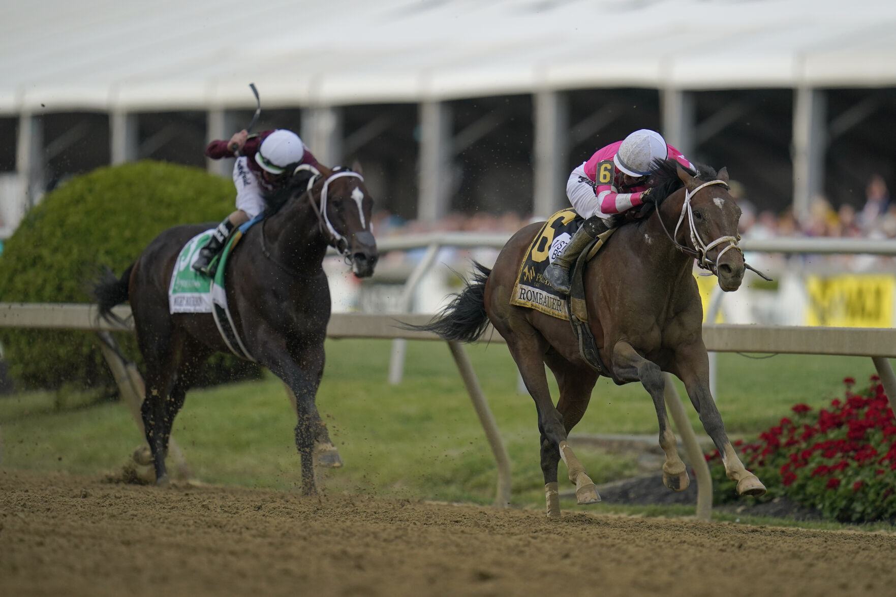 Preakness Stakes Horse Race